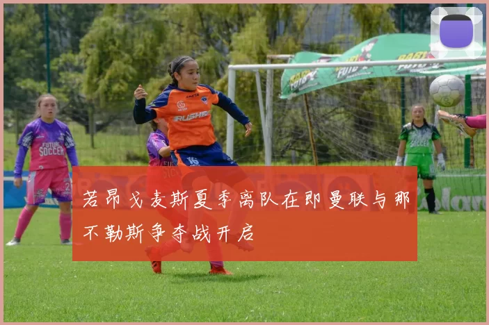 若昂戈麦斯夏季离队在即曼联与那不勒斯争夺战开启