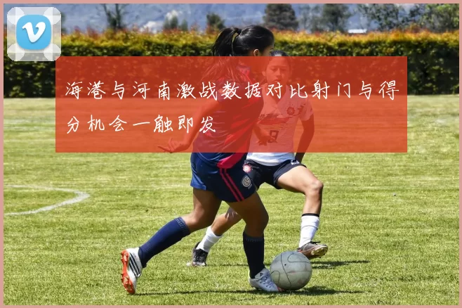 海港与河南激战数据对比射门与得分机会一触即发