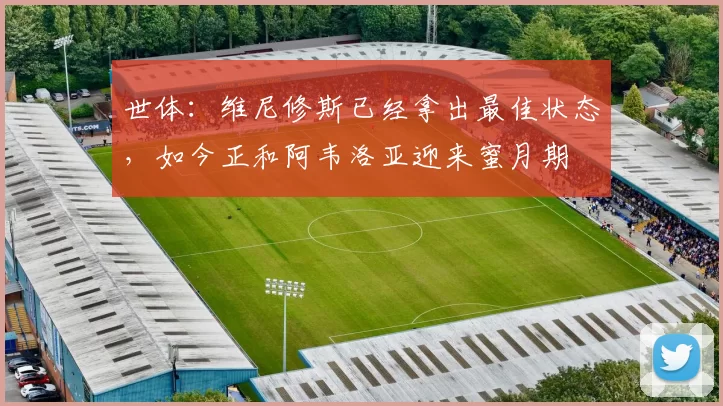 世体：维尼修斯已经拿出最佳状态，如今正和阿韦洛亚迎来蜜月期